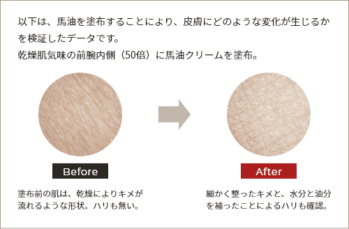 馬油塗布後の皮膚の変化